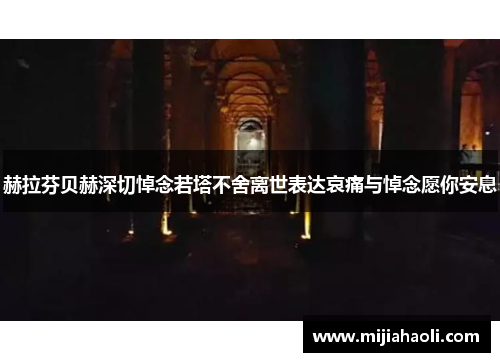 赫拉芬贝赫深切悼念若塔不舍离世表达哀痛与悼念愿你安息