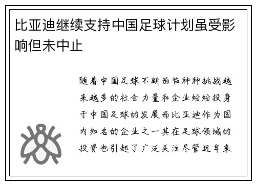 比亚迪继续支持中国足球计划虽受影响但未中止