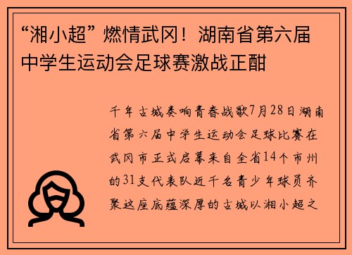 “湘小超” 燃情武冈！湖南省第六届中学生运动会足球赛激战正酣