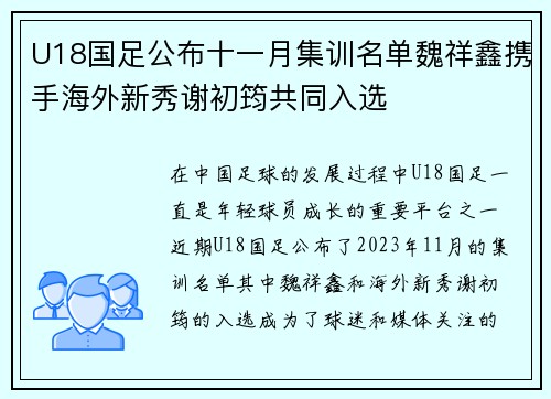 U18国足公布十一月集训名单魏祥鑫携手海外新秀谢初筠共同入选